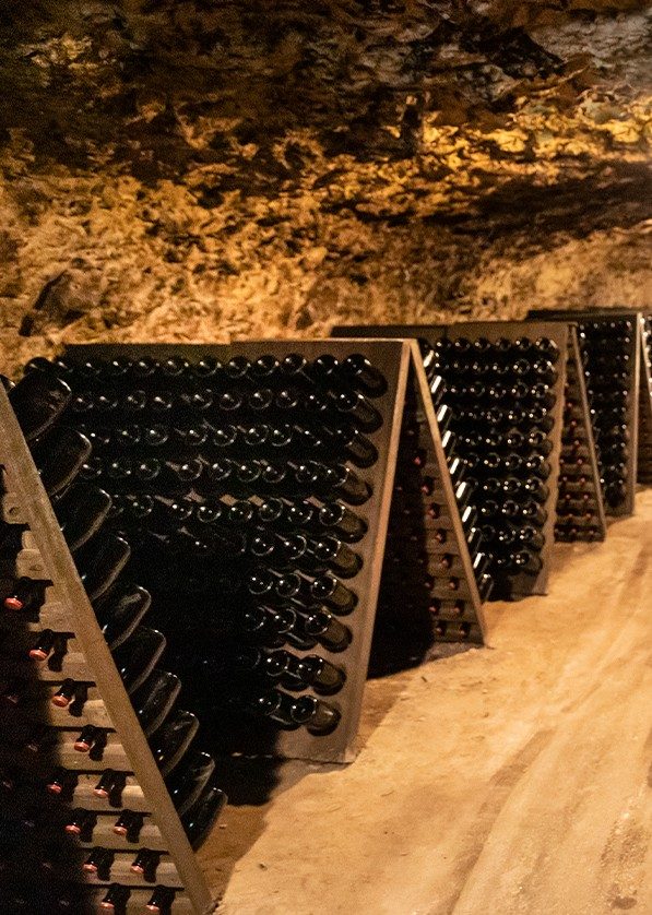 cave à vins - Cépage Chenin - Vins de Vouvray